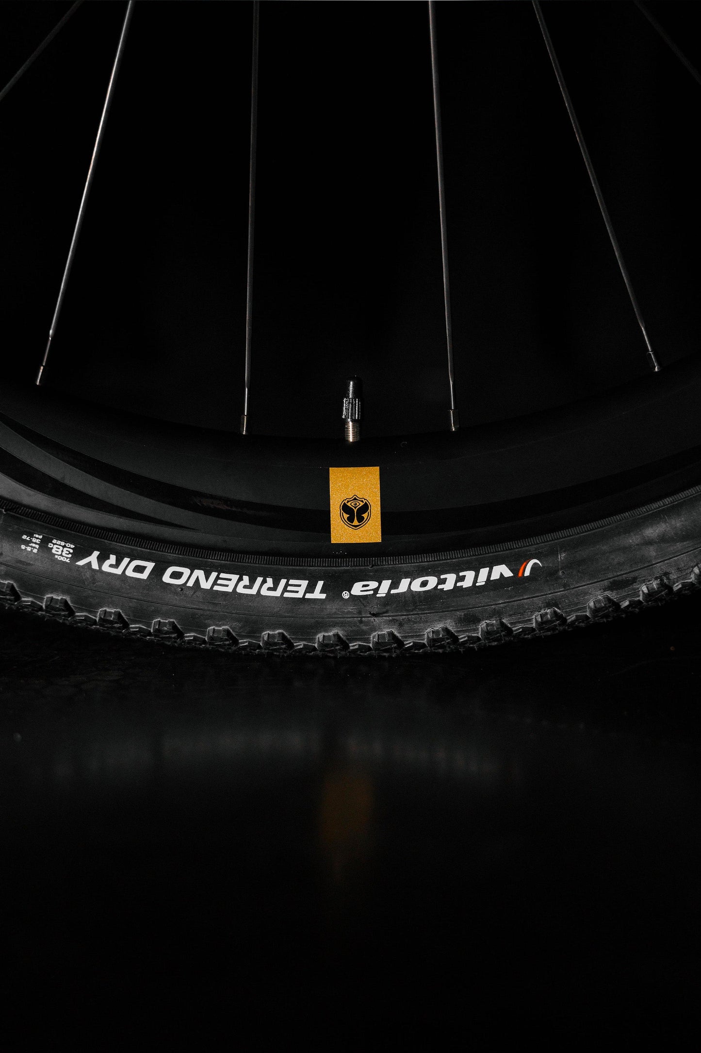 TML x RIDLEY INVENIO GRAVEL CARBON