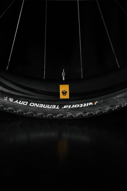 TML x RIDLEY INVENIO GRAVEL CARBON